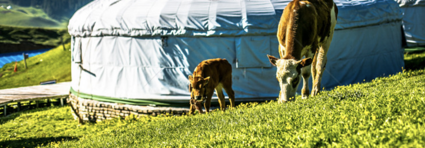 截圖-20241203104759