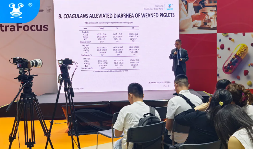 截圖-20241203165752