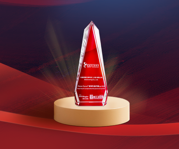 截圖-20241203104434